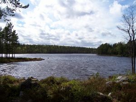 Rossgården Vandrarhem Logi